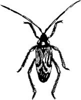 CC000485.WMF