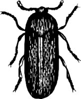 CC000482.WMF