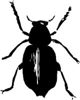 CC000477.WMF