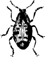 CC000476.WMF