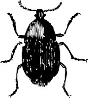 CC000475.WMF