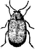 CC000474.WMF