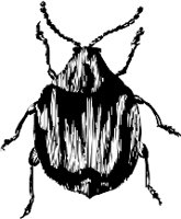 CC000473.WMF