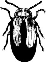 CC000467.WMF