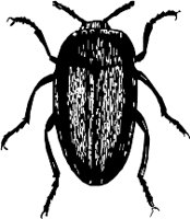CC000466.WMF