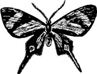 CC000300.WMF