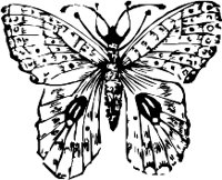 CC000299.WMF
