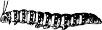 CC000296.WMF