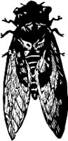 CC000294.WMF