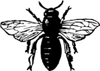 CC000285.WMF