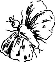 CC000134.WMF