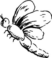CC000133.WMF
