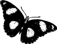 CC000119.WMF