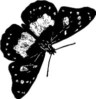 CC000117.WMF