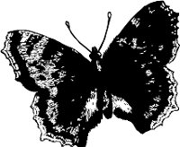 CC000116.WMF