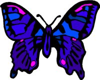 BUTRFLY4.WMF
