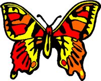 BUTRFLY3.WMF
