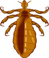 BNhlouse.wmf