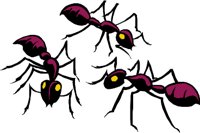 ANTS.WMF