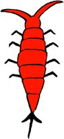 ANSSG268.WMF