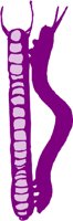 ANSSG251.WMF