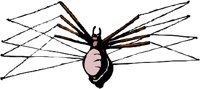 ANSSG248.WMF