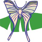 AN09611.WMF