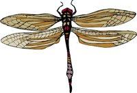 AG01070A.WMF