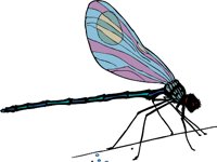 AG01018B.WMF