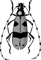 AG01013B.WMF