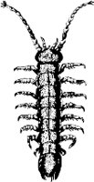 AG000589.WMF