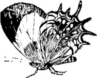 AG000587.WMF