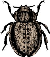AG000585.WMF