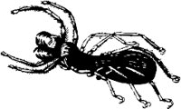 AG000583.WMF