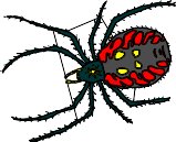 spider.WMF