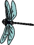 insectfl.WMF