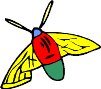 insect1.WMF