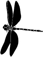 drgnfly.WMF