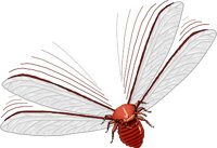 WINGED.WMF