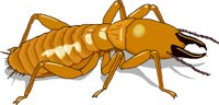 TERMITE.WMF