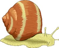 Snail2.wmf