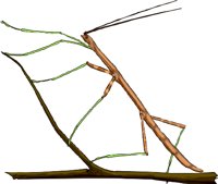 STICK.WMF