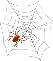 SPIDER_W.WMF