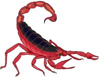 SCORPION.WMF