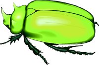 SCARAB.WMF