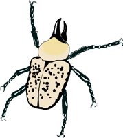 RBEETLE.WMF