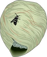 NEST.WMF