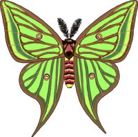 MOONMOTH.WMF
