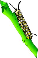 MONARCHC.WMF