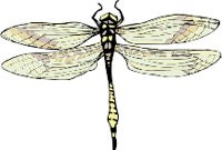 MMA00051.wmf